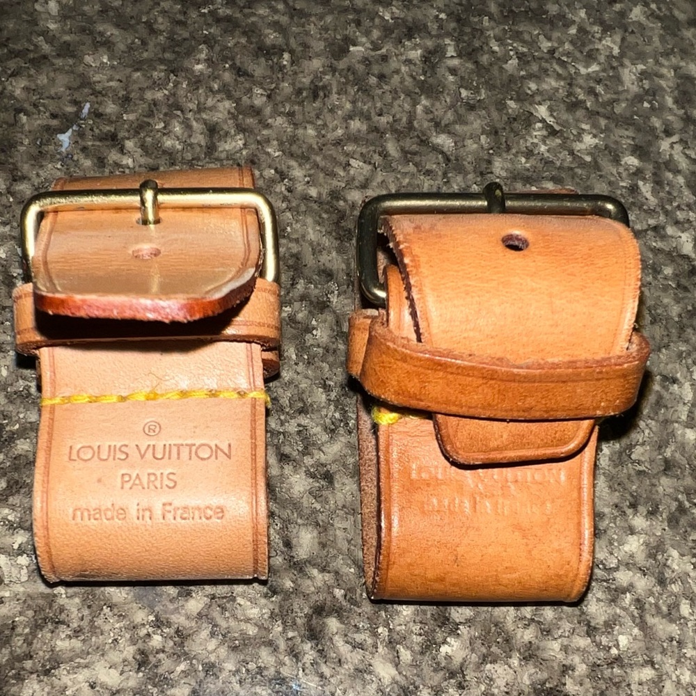 Louis Vuitton Leather Poinette (Set of 2)